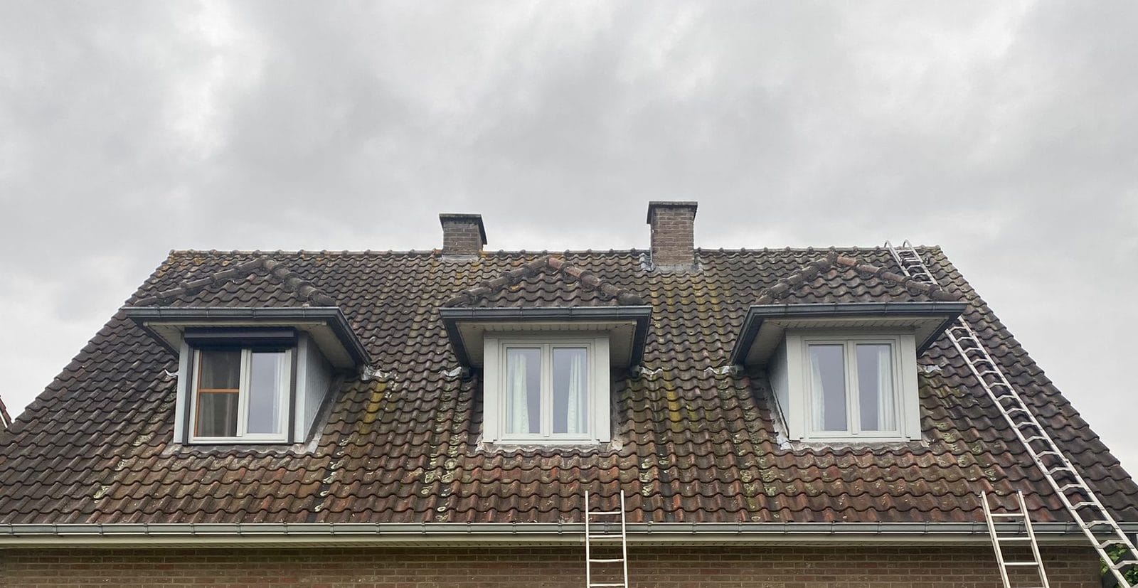 Dark-tiled roof of a house with three dormer windows, ladders set against the facade