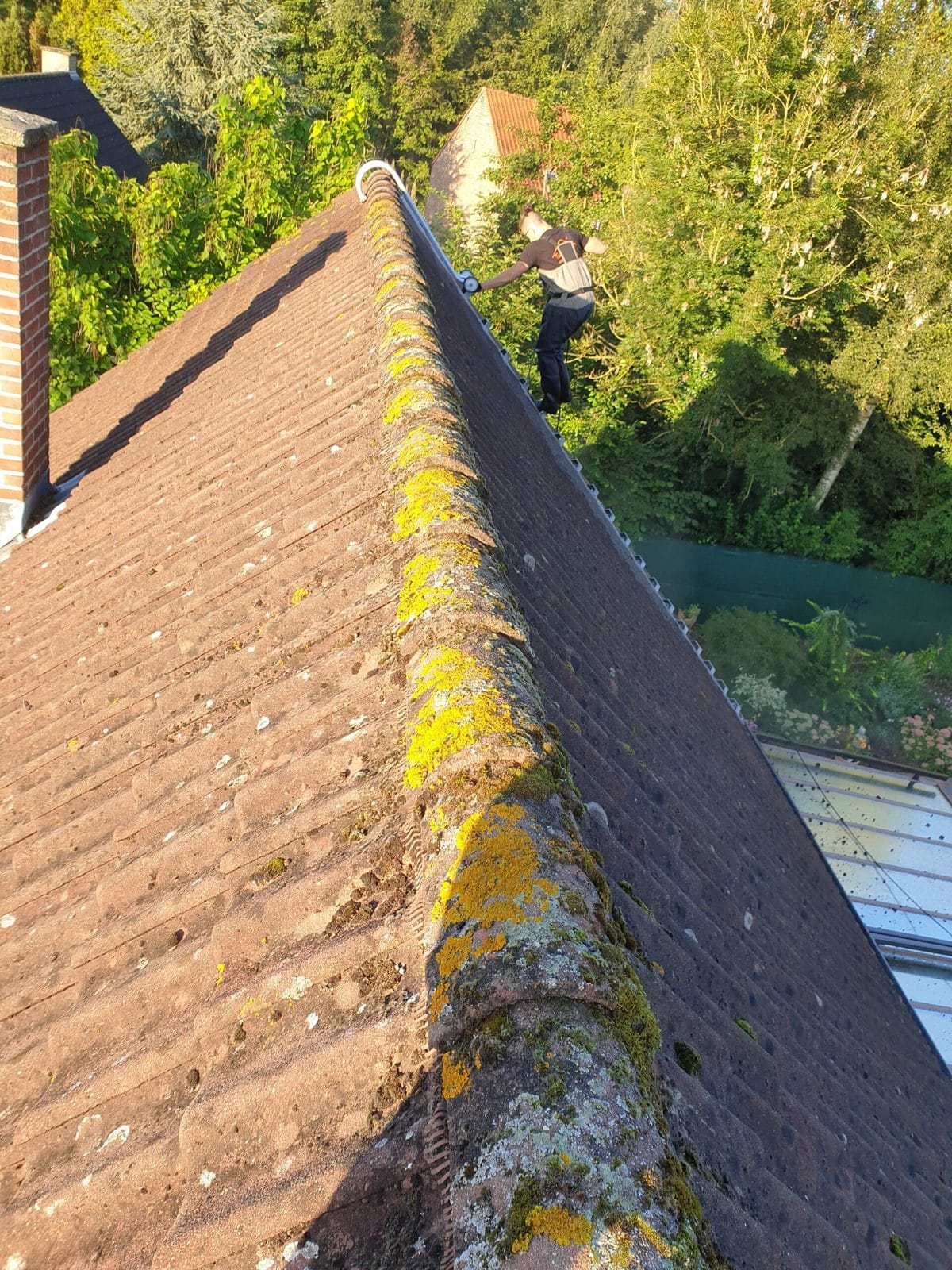 Ridge covered in moss