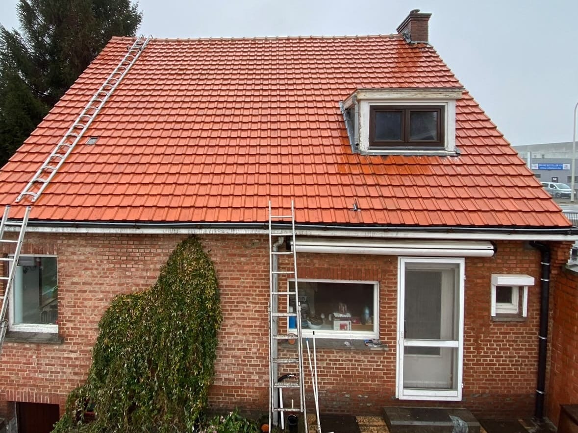 Tiled roof after moss removal