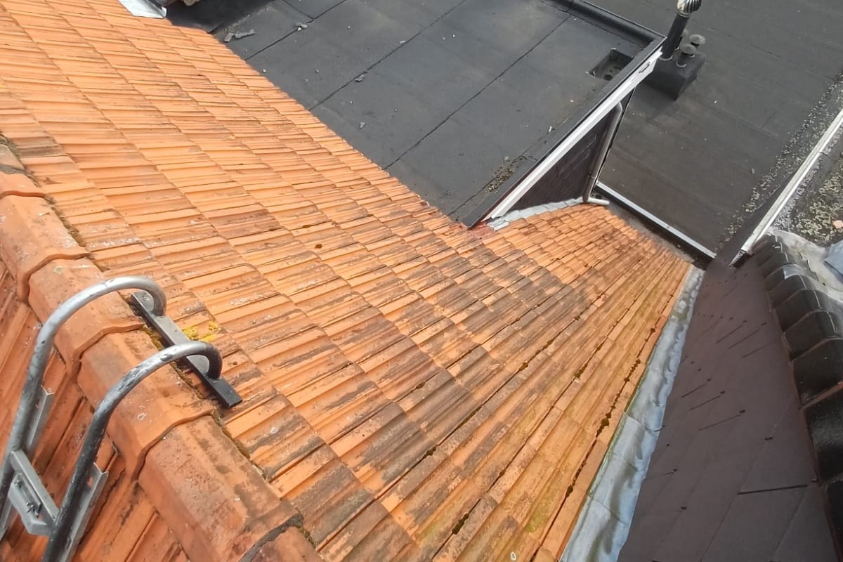 Versant de tuiles rouges moussues le long d'une noue en plomb, au bord d'un toit plat attenant, à Anvers