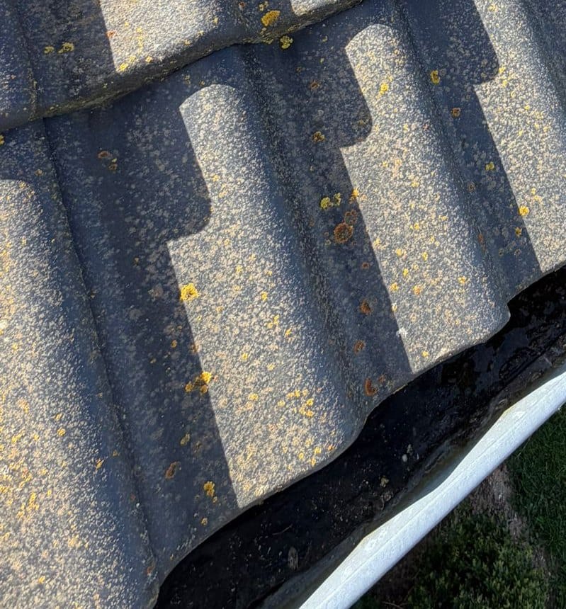 Rangs de tuiles grises couvertes de petites taches jaunes au-dessus d'une gouttière blanche garnie de matière sombre, pelouse en contrebas