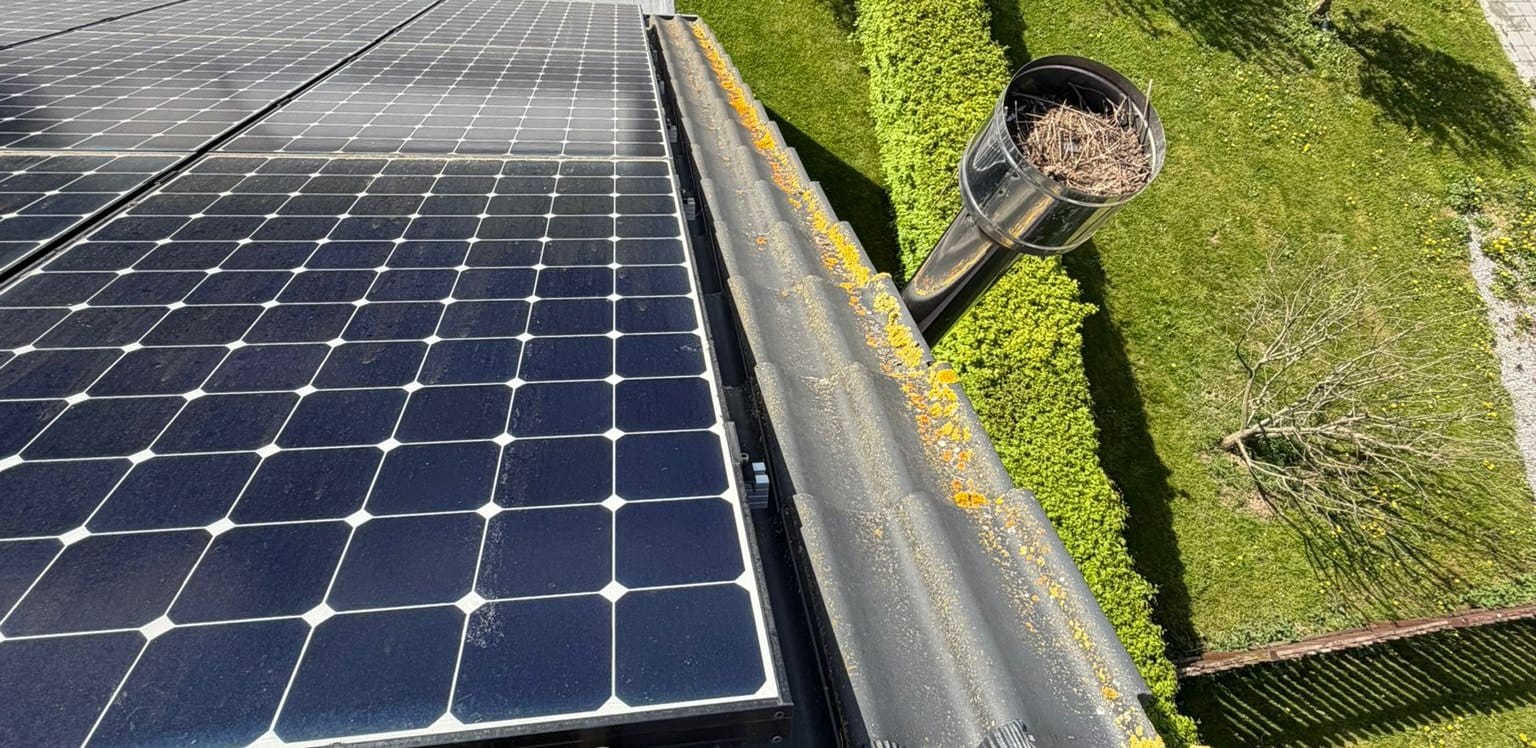 Panneaux solaires bordés d'une rangée de tuiles couvertes de taches jaunes, conduit métallique garni de brindilles, haie et pelouse en contrebas