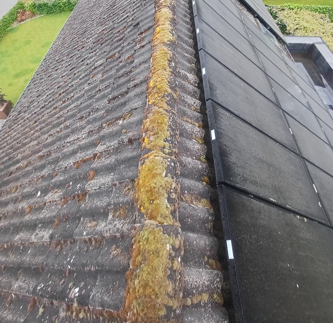 Faîtage d'une toiture en tuiles vu depuis le haut, couvert de mousse jaune et verte, à côté de panneaux solaires, à Hastière