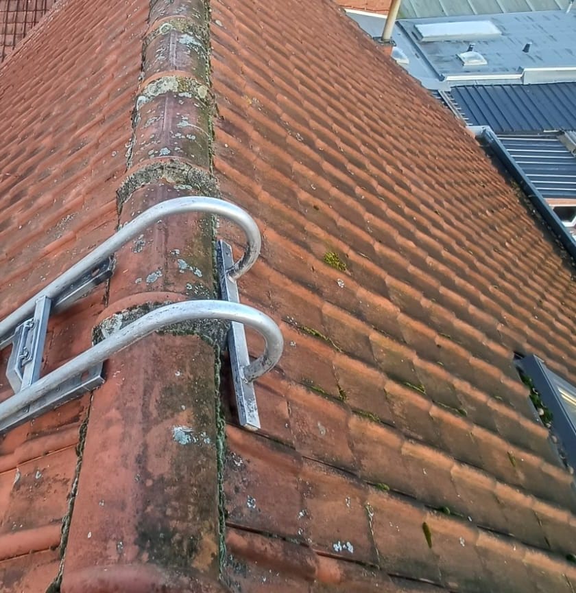 Ridge of red tiles seen close up, with patches of lichen and green moss in the joints, and a roof ladder resting on it