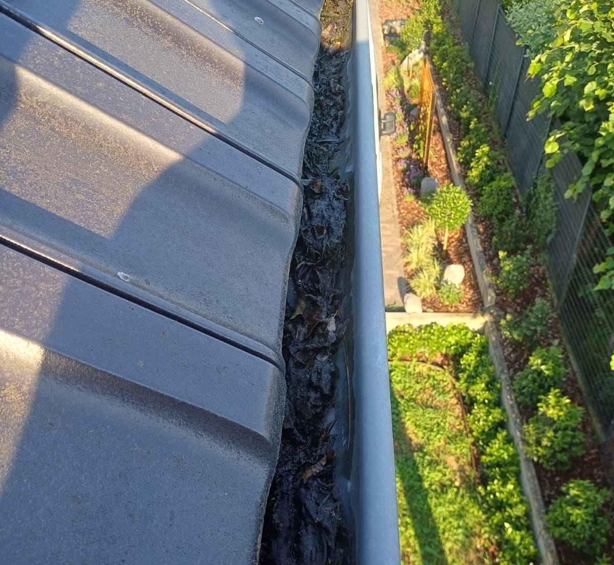 Gouttière remplie de feuilles décomposées au pied d'un versant de tuiles, vue depuis le haut, à Jamioulx