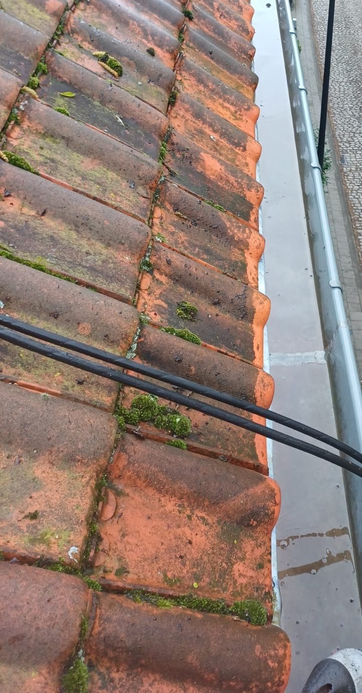 Red tiles with joints filled with green moss, next to a zinc gutter with a silvery bottom, black cables running across