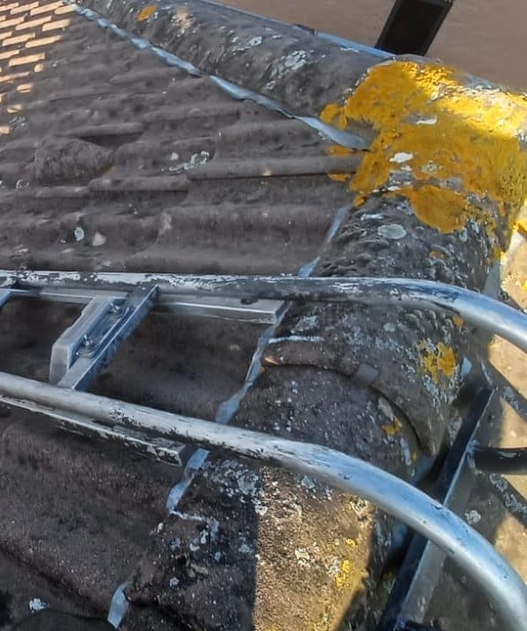 Ridge tiles covered in yellow and grey patches, roof ladder resting on the neighbouring slope, roof window at the top left