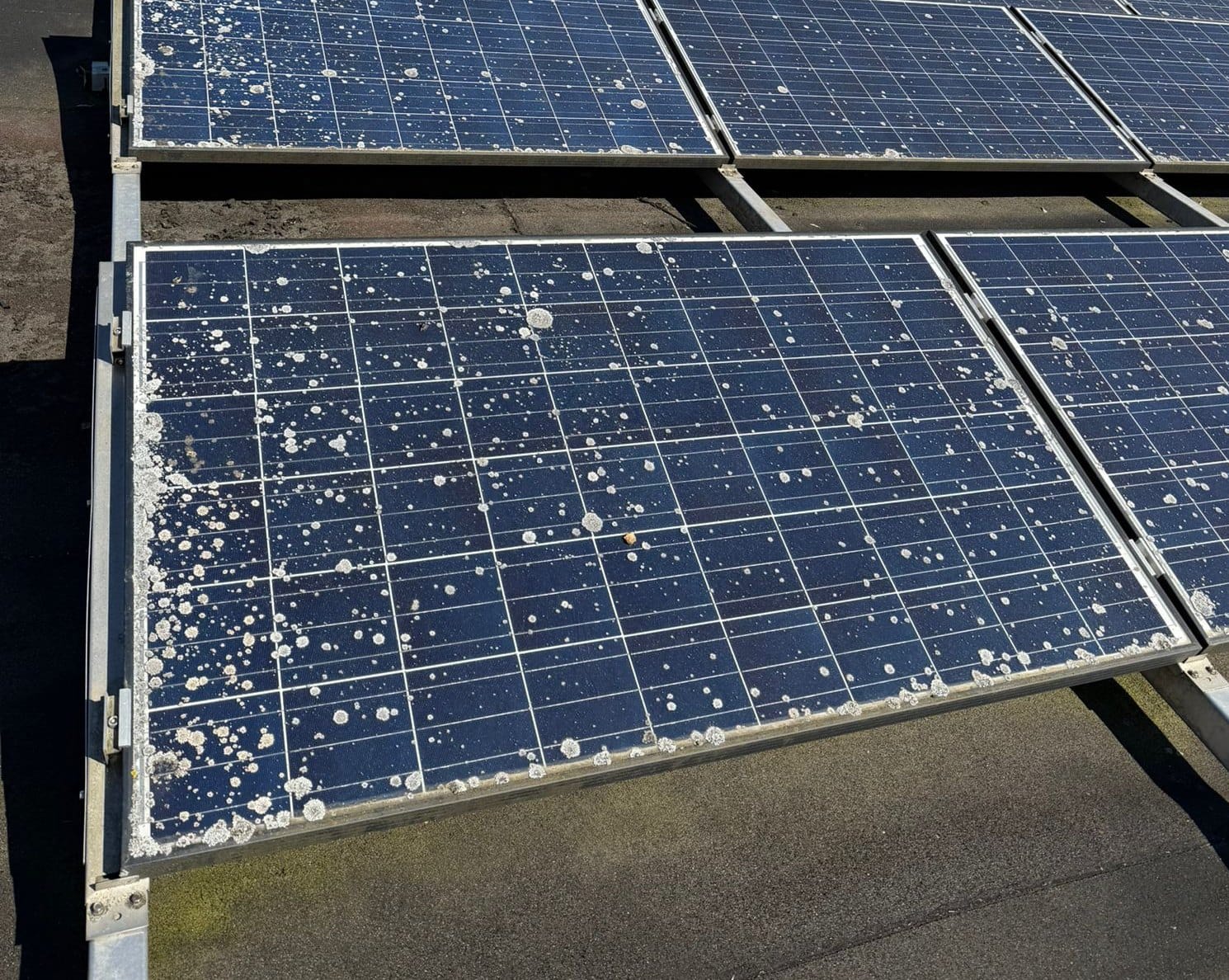 Panneau solaire bleu couvert de taches claires, surtout le long des bords, sur un toit plat
