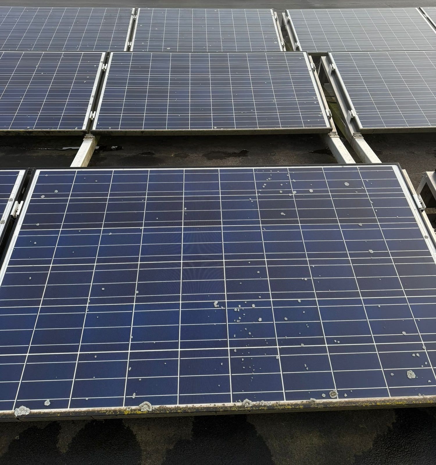 Rangées de panneaux solaires posées sur un toit plat, un panneau au premier plan portant quelques taches claires