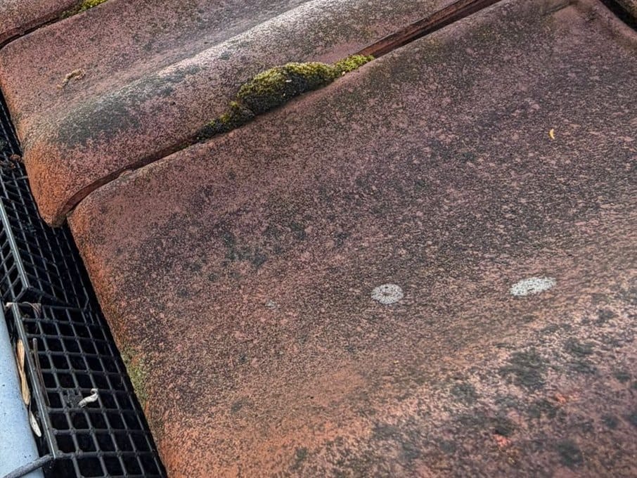 Rows of red tiles at the edge of a zinc gutter fitted with a black grille, tufts of moss in the grooves