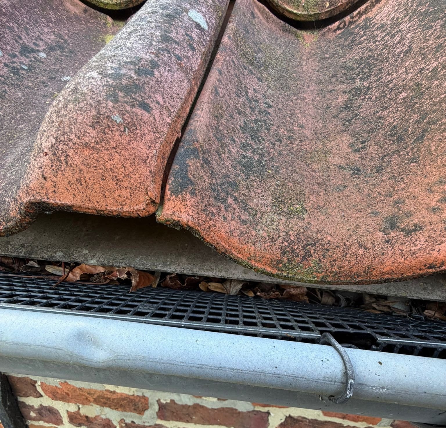 Lower edge of red tiles dulled with grey and green above a gutter with its black grille full of dead leaves