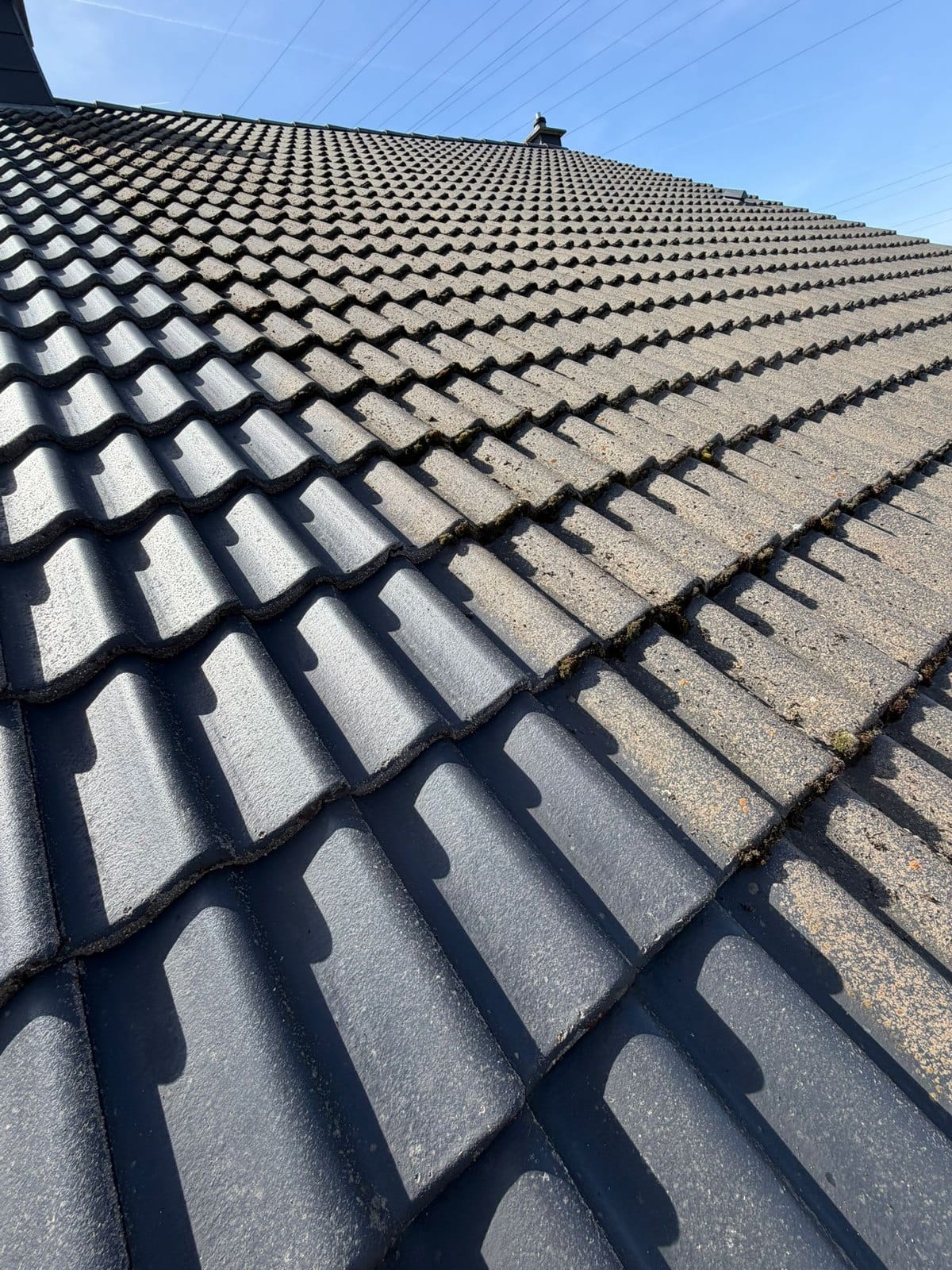 Large slope of tiles seen from below, the left part dark and clean, the right part grey with moss in the joints